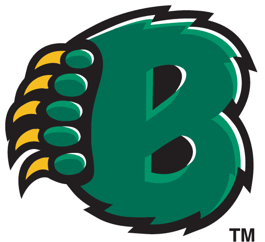 Baylor Bears 1997-2004 Alternate Logo v2 diy iron on heat transfer
